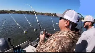 REELIN’EM IN! STRIPER FISHING LAKE MURRAY