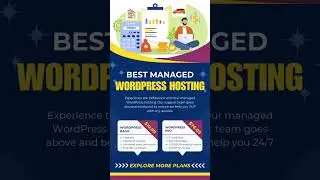 Best Managed WordPress Hosting in 2024