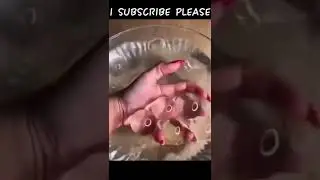 Oddly Satisfying 