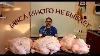 МЯСО. Выращивание ИНДЮКОВ тяжелого кросса Хайбрид Конвертер ч.7