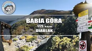 Babia Góra (Diablak ) \\ Beskid Żywiecki