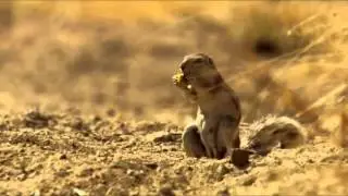 bazen bir bakış