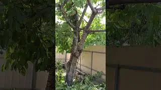 Щоб не було сварки!!