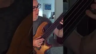 30 seconds of my ‘93 Wal fretless. #bass #bassplayer #fretless www.rufusphilpot.com