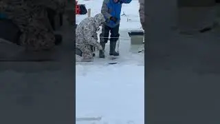 Ловим форель на актив