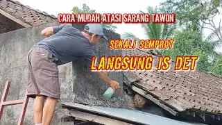 CARA MUDAH ATASI SARANG TAWON DI SIANG HARI//TAWON VESPA ANALIS