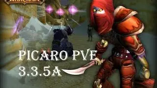 picaro pve 3.3.5