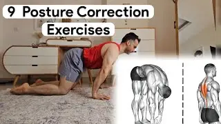 9 Posture Correction Exercises