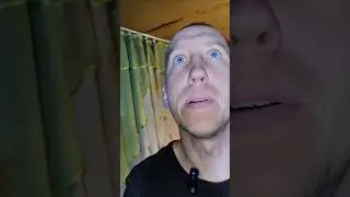 Чем вам не оса?