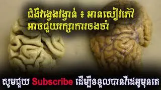 ជំងឺវង្វេងវង្វាន់ ៖ អាន​សៀវភៅ​អាច​ជួយ​រក្សា​ការ​ចង​ចាំ, Khmer Health