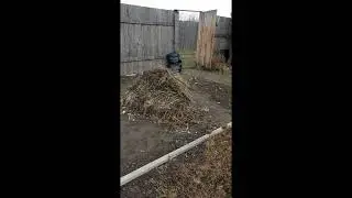 Мы купили ДАЧУ