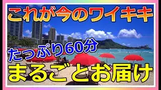1時間のハワイ散歩！ハワイ旅行気分をお届け！ワイキキを端から端まで一緒に歩いてみませんか？【ハワイ現状】【ハワイの今】【ハワイ旅行】【HAWAII】