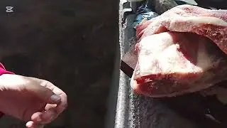 Asado a la orilla del río de cba