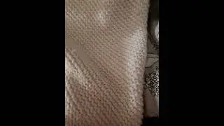 Тайный котик
