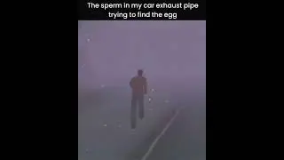 the sperm in my car exhaust pipe trying to find the egg
