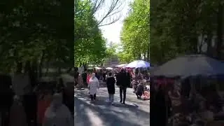 Черемушки