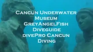 Cancun Underwater Museum.Grey Angel Fish Dive Guide.divePro Cancun Diving