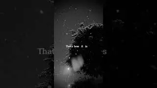 Zara Larsson - Uncover (Lyrics) #zaralarsson #uncover #aesthetic #lyrics #music #lyricsvideos