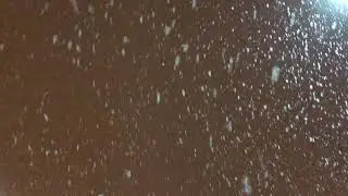Snowflakes