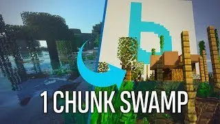 EPIC SWAMP BIOME IN 1 CHUNK