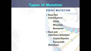 Types of Mutations