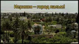 Иерихон - город пальм!