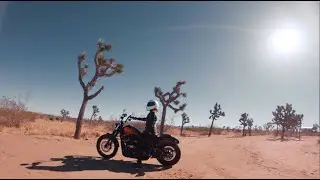 The Trailblazer | Harley-Davidson