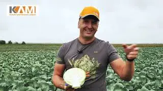 Резервые посадки