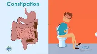 Hemorrhoids, how to deal with it ?