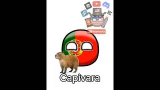 Капибара на разных языках #russiacountryball #memes #contryballs #капибара #polandball