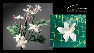 Sugar Jasmine Flower Tutorial,  No cutters / Free Hand (2021)