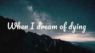 SHAED - TRAMPOLINE LYRICAL VIDEO