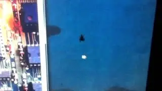 Remote Control Spider