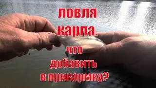 Ловля карпа. Лагуна. Еганово.