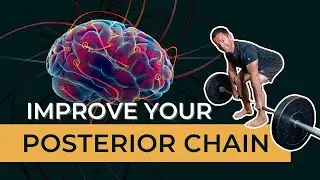 Improve Posterior Chain Function with One Vestibular Exercise