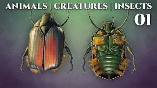 Animals - Creatures - Insects  / 01 - Blender 2.82