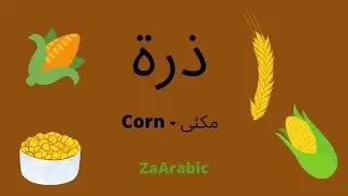 How to say Corn in Arabic | ذرۃ