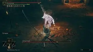 Elden Ring - Blackgaol Knight