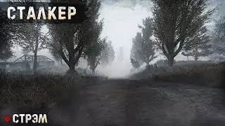S.T.A.L.K.E.R. | ANOMALY CUSTOM | ПРОБА, ИНТЕРАКТИВ?