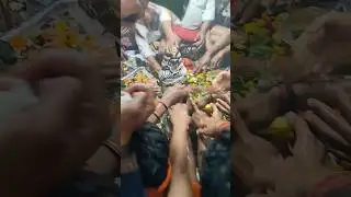 Shivratri 🙏🙏