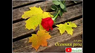 Стихотворение А.А. Фет Осенняя роза /слушать/литература 5 класс/аудиокнига/видеокнига/сказка на ночь