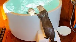 [Original Video] Ui’s Washing Mashine