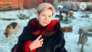 23 мая 2024 г.