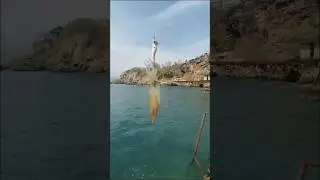 Кто это? #travel #fishing #fish #travel #relax #beach #отпуск #море #турция #анталия #рекомендации