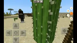 minecraft survival lets play ep2 (read disc)