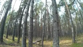 МЧС предупреждает