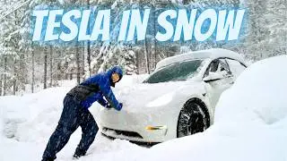 Watch this BEFORE Driving Your Tesla in COLD WEATHER