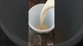 Different Flavor Eggnogs!