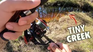 Tiny creek holds bass!!!