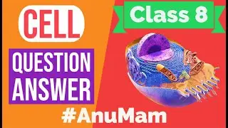 Cell Structure And Function | Question Answer | Class 8 | Chapter 8 | Science